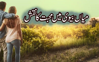 Miya Biwi Mein Mohabbat Ka Naqsh