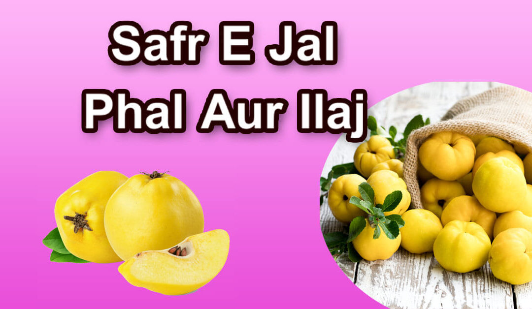 Safr E Jal Phal Aur Ilaj (Rohani)