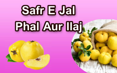 Safr E Jal Phal Aur Ilaj (Rohani)