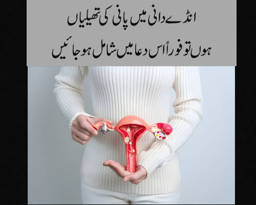 Ande dani mein pani ki thaili banna | female infertility