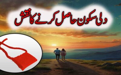 Dili Sukoon Hasil Karne Ka Naqsh