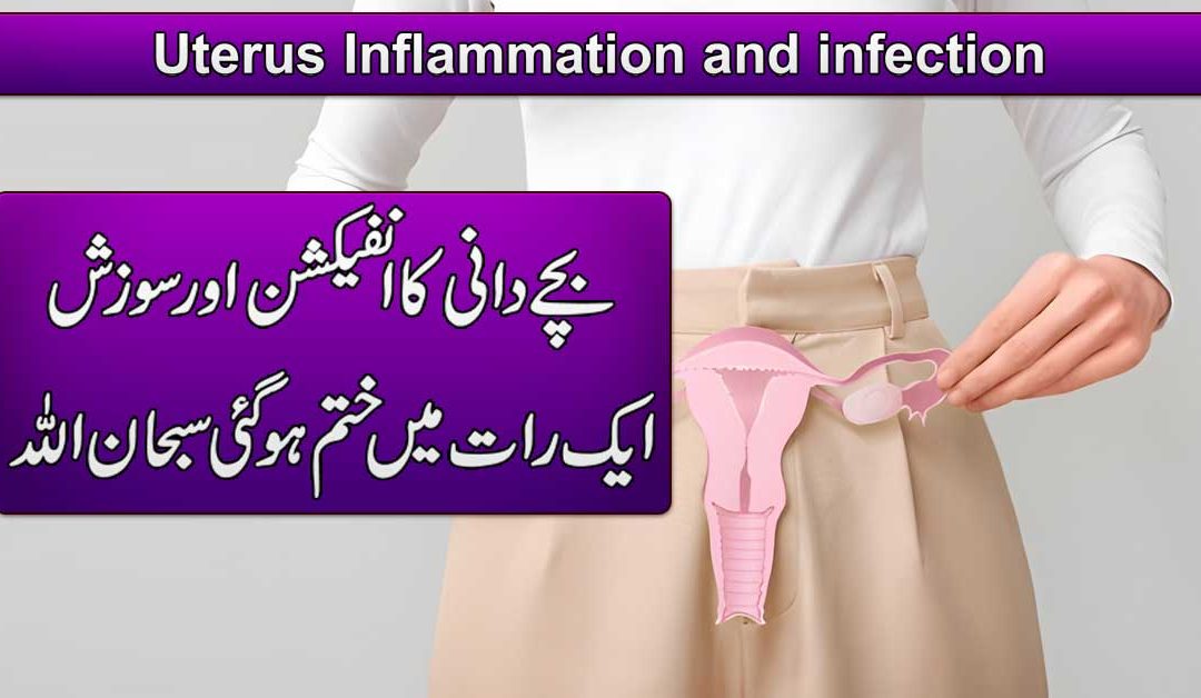 Uterus Inflammation And Infection
